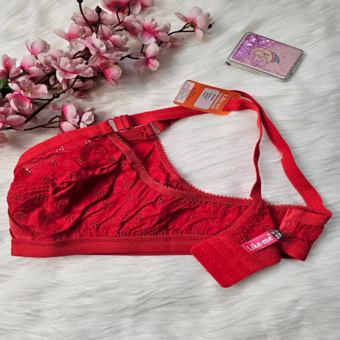 94111033Richi-Brassiere44Red.webp